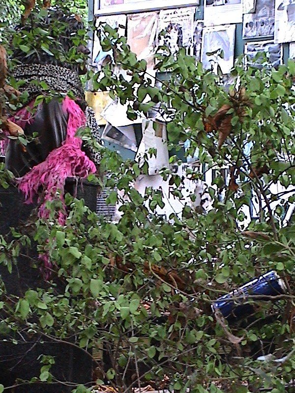 05-beer can in bush with bronze