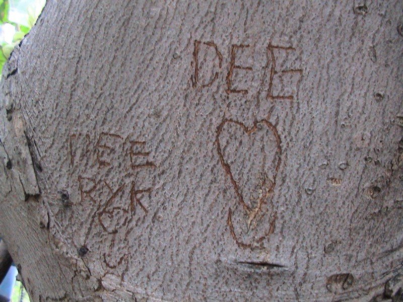 10-latest engraving