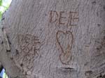 10-latest engraving