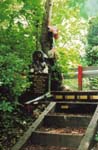 Bronze_and_Tree_35mm_Film_Camera