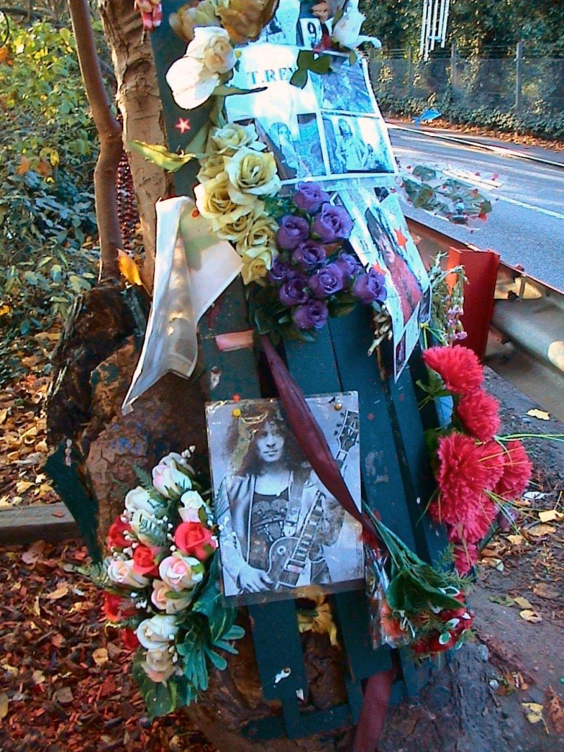 009-messages-on-the-tree