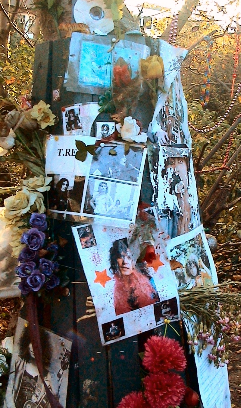010-messages-on-the-tree