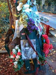 009-messages-on-the-tree