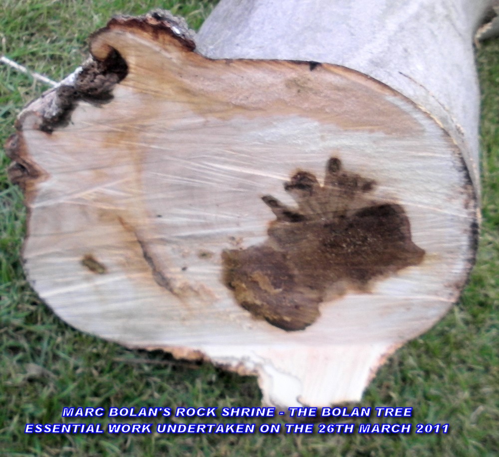 TREE-003