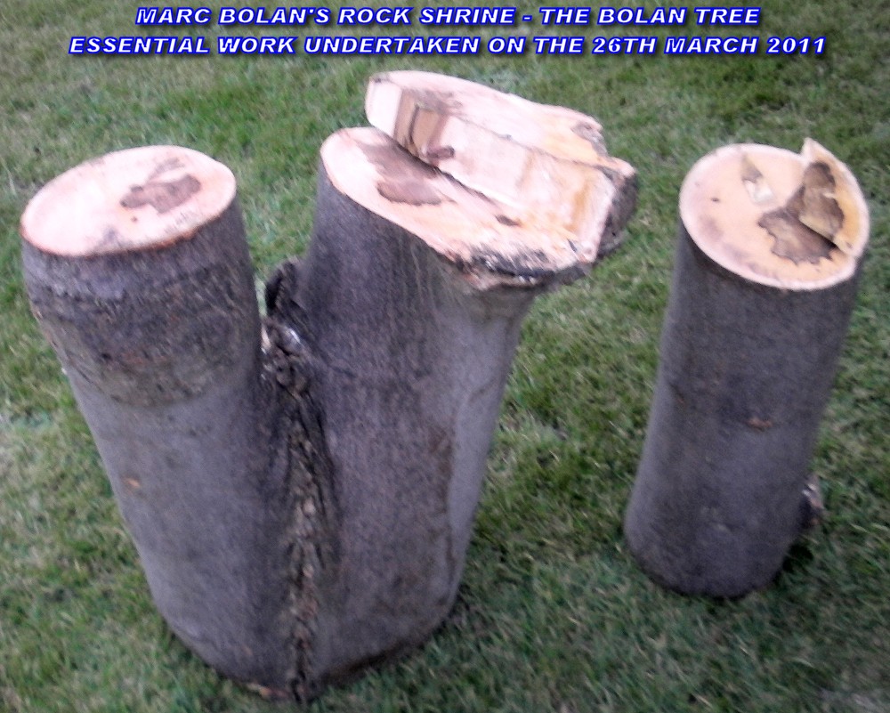 TREE-005