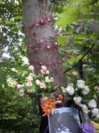 Sam_0327