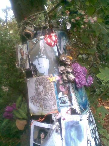 Image3