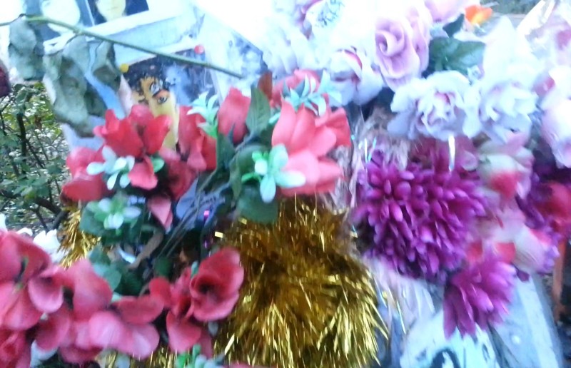 20121221_154224_Snapshot (25)