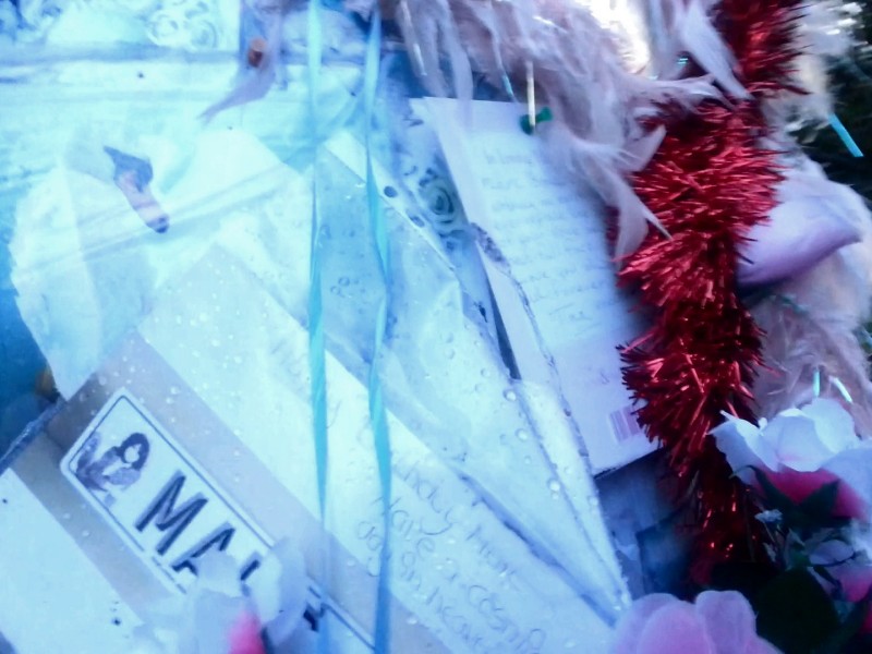20121221_154224_Snapshot (26)