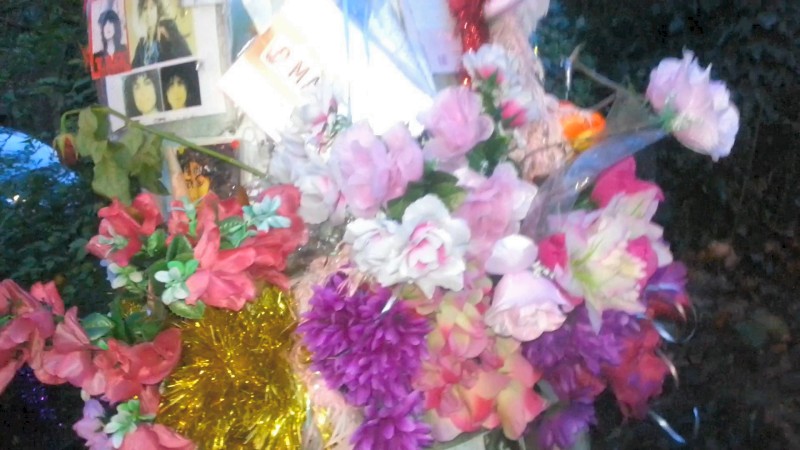 20121221_160504_Snapshot (8)