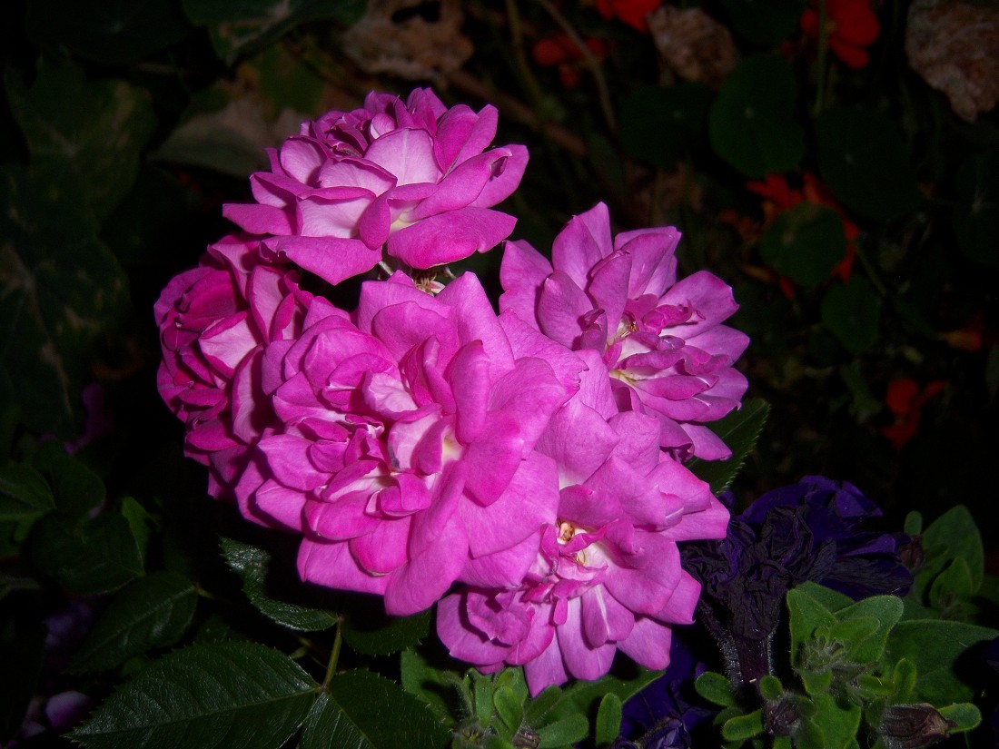 017