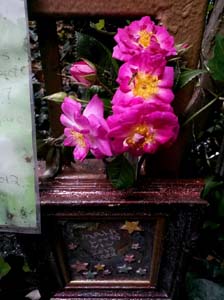IMG_20140708_121819