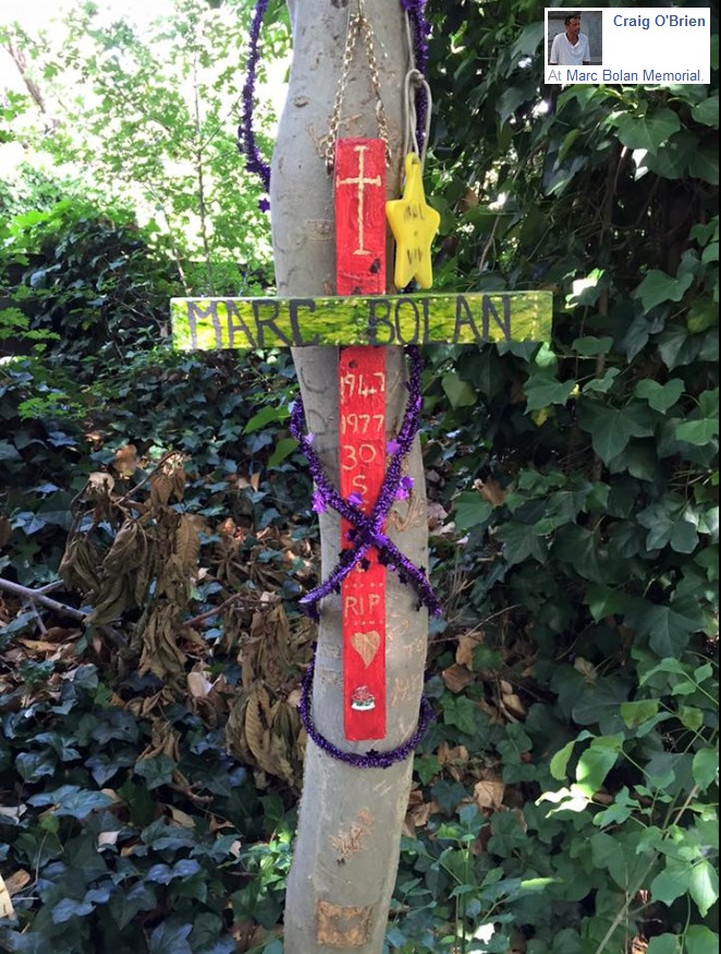2015-08-07-TREE-CRAIG-01