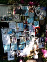 Shrine-noticeboard